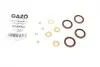 Ремкомплект форсунки Opel Astra H/Combo 1.3 CDTI 05-11 (к-кт на 4шт) Gazo GZ-A1863 (фото 1)