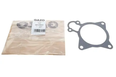 Прокладка помпи води Citroen Jumper/Fiat Ducato/Peugeot Boxer 3.0 HDi 06- Gazo GZ-A2037
