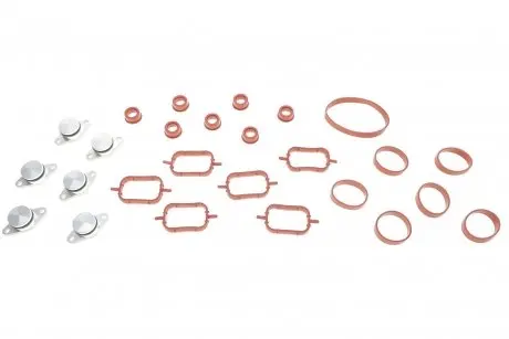 Комплект прокладок колектора впускного BMW 3 (E46/E90)/5 (E39/E60)/X5 (E53/E70) 3.0d (M47) 98-11 Gazo GZ-A2136
