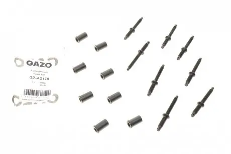 Болт кріплення форсунки Citroen Berlingo/Jumpy/Peugeot Expert/Partner 1.6 HDI 05- (к-кт 8 шт) Gazo GZ-A2178