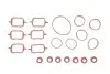 Комплект прокладок колектора впускного BMW 3 (E46/E90)/5 (E39/E60) 2.0-3.0 (M47/M57/N57) 98-11 Gazo GZ-A2903 (фото 1)