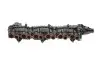 Колектор впускний BMW 3 (E90/F30/F80)/5 (F10)/7 (F01-F04) 3.0D N57 10- Gazo GZ-E1079 (фото 1)