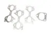 Колектор випускний BMW X5 (E53) 3.0d (M57) 00-07 Gazo GZ-E1277 (фото 4)