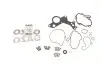 Ремкомплект вакуумного насоса Audi A2/A3/A4/A6/VW Golf/Ford Galaxy 1.4-1.9 TDI 00-10 (полный) Gazo GZ-F1003 (фото 1)