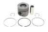 Поршень BMW 5 (E60) 05-10/X5 (E70) 3.0d (M57) 06-10 (84.00mm/STD) Gazo GZ-F1694 (фото 1)