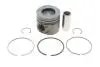 Поршень BMW 5 (E60) 05-10/X5 (E70) 3.0d (M57) 06-10 (84.00mm/STD) Gazo GZ-F1694 (фото 1)