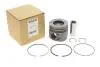 Поршень BMW 5 (E60) 05-10/X5 (E70) 3.0d (M57) 06-10 (84.00mm/STD) Gazo GZ-F1694 (фото 2)