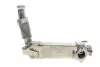 Радіатор рециркуляції ВГ BMW 3 (E90/E91)/5 (E60/E61) 04-10 (N47/N57) (без клапана) Gazo GZ-F1706 (фото 1)