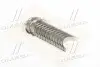 Вкладыши коренные BMW HL STD M20/M21/M50/M51/M52/M54/M57 с двумя замками (выр-во) Glyco H023/7 STD (фото 1)