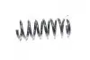 Пружина задней подвески (выр-во) GM 96858417 (фото 1)