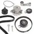 Комплект ГРМ + помпа Skoda Fabia/Octavia 00-13/VW Caddy/Golf/Polo 1.4 16V 99-08 (20x130z/17x58z) (PA674) KP674-1