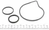 Насос воды Citroen C4/C5/C8/Jumpy/Fiat Scudo/Peugeot 206/307/406 1.8/2.0/2.2 99- (20z) (R/B) (6 лоп) GRAF PA1044 (фото 2)