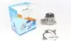 Помпа води Renault Clio/Scenic/Megane/Kangoo/Nissan Qashqai/Juke 0.9-1.2-1.4TCe/1.6 09- (B/B)(8 лоп) GRAF PA1065 (фото 1)