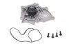 Насос воды Audi A3-A7/VW Golf VII/Passat VIII/Skoda Octavia IV 1.8-2.0TSI/TFSI 12-(29z)(B/B)(5 лоп) GRAF PA1246 (фото 1)
