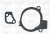 Насос воды Ford Fiesta II/Escort III/IV 1.6D 84-90 (B/B) (9 лоп.) GRAF PA278 (фото 2)