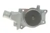 Помпа води Ford Fiesta II/III/Escort III/IV/V/VI/VII 1.3/1.4/1.6 81-00 (20z) (B/B) (8 лоп.) GRAF PA321 (фото 3)