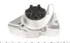 Помпа води Citroen Berlingo/Xsara/Peugeot Partner/306/309/405/406 1.6/1.8/1.9 87-02(20z)(B/B)(6 лоп) GRAF PA348 (фото 3)