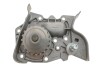 Насос води Renault Kangoo/Megane/Clio 1.4/1.4i/1.4e 96- (20z) (B/B) (8 лоп) GRAF PA633 (фото 1)