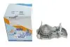 Насос води Renault Kangoo/Megane/Clio 1.4/1.4i/1.4e 96- (20z) (B/B) (8 лоп) GRAF PA633 (фото 5)