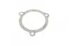 Помпа води Lada 2110-2111 1.5/1.5 16V/1.6 97-12 /Lada 2108-2115 1.1/1.3/1.5 91-13 (21z) (B/B)(6 лоп) GRAF PA704 (фото 6)