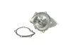 Насос воды Citroen C4-C8/Jumpy 2.0-2.2HDi/Fiat Scudo 2.0D/Ford Focus 2.0TDCI 01- (19z)(B/B)(8лоп) GRAF PA861 (фото 11)