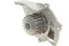 Насос воды Citroen C4-C8/Jumpy 2.0-2.2HDi/Fiat Scudo 2.0D/Ford Focus 2.0TDCI 01- (19z)(B/B)(8лоп) GRAF PA861 (фото 4)