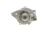 Насос воды Citroen C4-C8/Jumpy 2.0-2.2HDi/Fiat Scudo 2.0D/Ford Focus 2.0TDCI 01- (19z)(B/B)(8лоп) GRAF PA861 (фото 6)