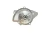 Насос воды Citroen C4-C8/Jumpy 2.0-2.2HDi/Fiat Scudo 2.0D/Ford Focus 2.0TDCI 01- (19z)(B/B)(8лоп) GRAF PA861 (фото 7)