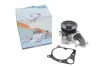 Помпа воды BMW 1/3/5/6/X3/X5/X6 2.0d/2.5d/3.0d/xDrive 01-13 (R/B) (7 лоп.) (6 кан.) GRAF PA965 (фото 1)