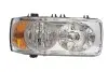 Фара автомобильная 1EJ247046041