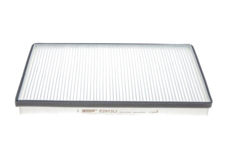 (HENGST) HENGST FILTER E2913LI