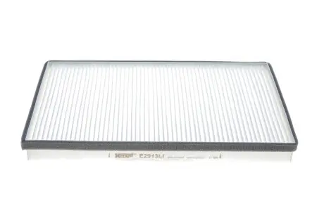 (HENGST) HENGST FILTER E2913LI