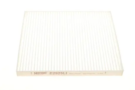 (HENGST) HENGST FILTER E2925LI