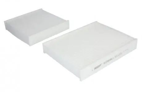 (HENGST) HENGST FILTER E2967LI-2