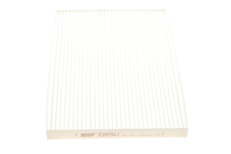 (HENGST) HENGST FILTER E2976LI