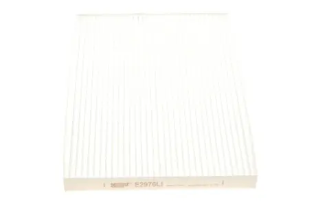 (HENGST) HENGST FILTER E2976LI
