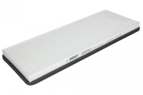 (HENGST) HENGST FILTER E905LI