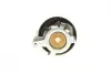Комплект ГРМ Ford B-Max/C-Max/Fiesta/Mondeo 1.0 Ecoboost 12- (16x116z) HEPU 20-2102 (фото 10)