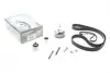 Комплект ГРМ VW Caddy IV/Crafter/T6 2.0 TDI 15- (145x25) (ремінь насоса масляного + сальник колінвалу) HEPU 20-2135 (фото 1)