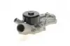 Насос воды MB E-класс (W211) 03-08/G-класс (W463) 00-/M-класс (W163)/S-класс (W220) 4.0 CDI 00-05 HEPU P1533 (фото 3)