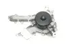 Насос воды MB C-class (W205/C205/S205)/E-class (W212/S212/W213/S213)/S-class (W222) 13- HEPU P1551 (фото 4)