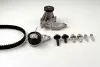 Комплект ГРМ + насос Ford Focus 98-12/Fiesta 1.4/1.6 96-08 (117x22)(насос P235) PK02350