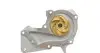 Комплект ГРМ + насос Ford Mondeo/C-Max/Focus 1.5/1.6 EcoBoost 10-(117x22)(насос P255) HEPU PK02551 (фото 5)