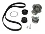 Комплект ГРМ + помпа Opel Astra F/Vectra B 1.4/1.6 16V 94-05(169x20)(помпа P317) PK03170