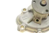 Комплект ГРМ + насос Opel Astra H/Corsa D 1.7CDTI 06- (131x25) HEPU PK03260 (фото 11)