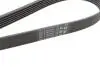 Комплект ременя генератора + помпа Audi A1/A3/Seat Ibiza/Skoda Octavia 1.4/1.6 02- HEPU PK05810 (фото 3)