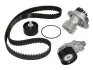 Комплект ГРМ + насос Daewoo Nubira/Chevrolet Aveo/Lacetti 1.4/1.6 97- (127x25.4) HEPU PK07950 (фото 1)