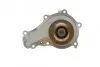 Комплект ГРМ + насос Citroen Berlingo/Peugeot Partner 1.6HDI (z=137) HEPU PK08030 (фото 7)