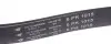 Ремень генератора Ford Escort 1.4/MB OM601/602 -96 (6PK1015) HUTCHINSON 1015 K 6 (фото 3)