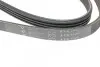 Ремень генератора Suzuki Grand Vitara 2.5 V6/2.7 4x4 98-03 HUTCHINSON 1025 K 4 (фото 4)